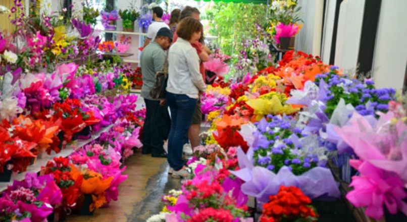 Floricultor e as formas de se iniciar uma sociedade