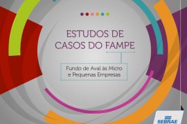 Estudos de casos do FAMPE – Fundo de Aval às Micro e Pequenas Empresas