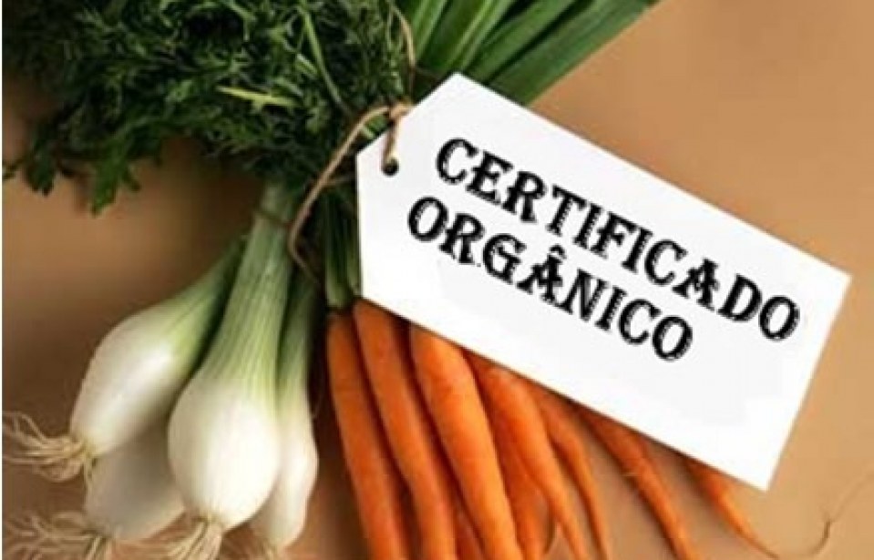 A importância da certificação de produtos orgânicos