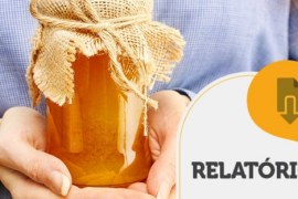 RELATÓRIO INTELIGÊNCIA – Investimento em flores para diferenciação de mel