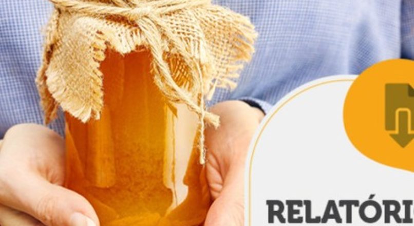 RELATÓRIO INTELIGÊNCIA – Investimento em flores para diferenciação de mel