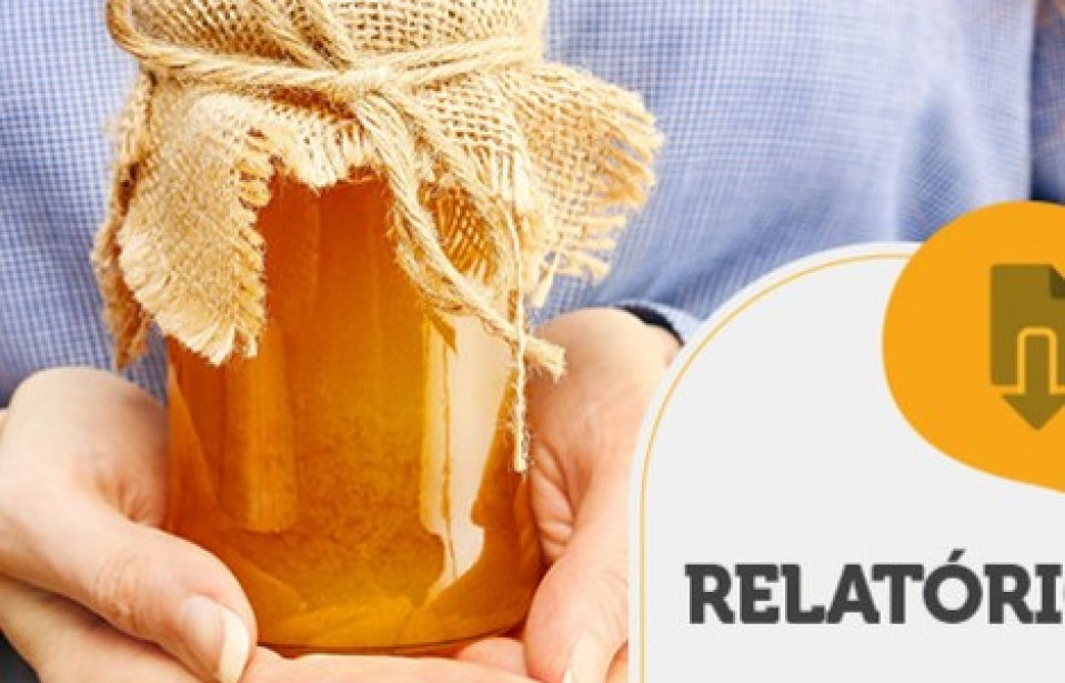RELATÓRIO INTELIGÊNCIA – Investimento em flores para diferenciação de mel
