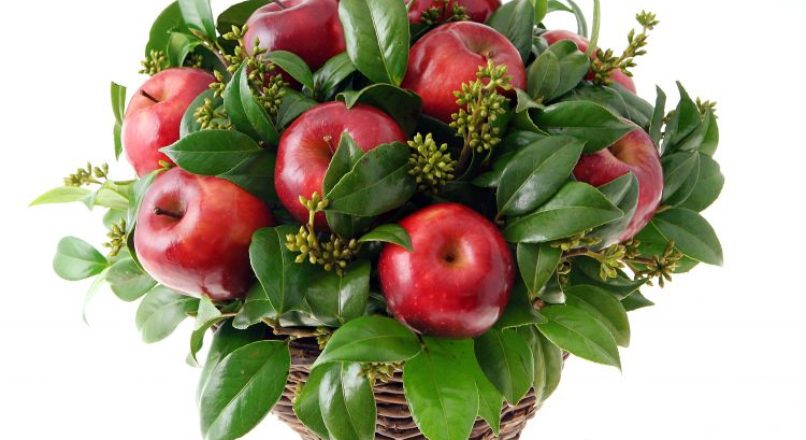 HORTITEC 2014 – A crescente tendência do cultivo de frutas ornamentais.