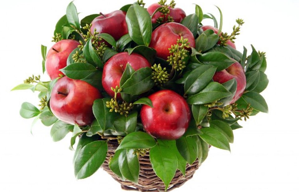HORTITEC 2014 – A crescente tendência do cultivo de frutas ornamentais.