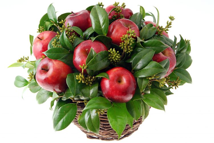 HORTITEC 2014 – A crescente tendência do cultivo de frutas ornamentais. 