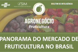 Boletim – Panorama do Mercado de Frutas no Brasil