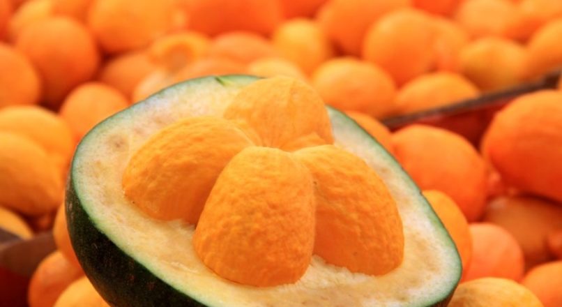 Cultivo e Mercado do Pequi