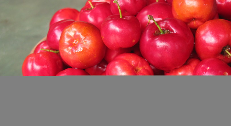 Modo de cultivo da acerola