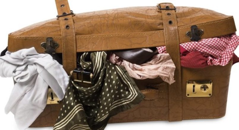 Mercado de manutenção e higienização de malas de viagem