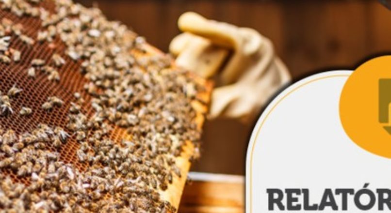 RELATÓRIO INTELIGÊNCIA – Falsificação de produtos apículas