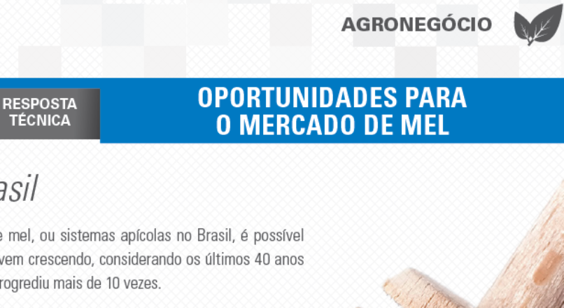 Boletim- Oportunidades para o mercado de mel