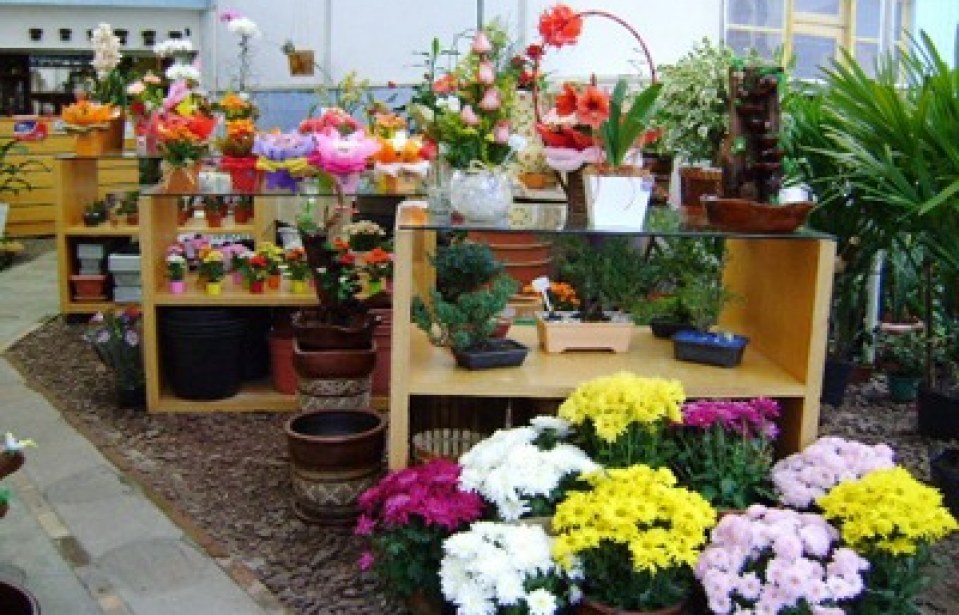 Floricultura – O que considerar num plano de negócios