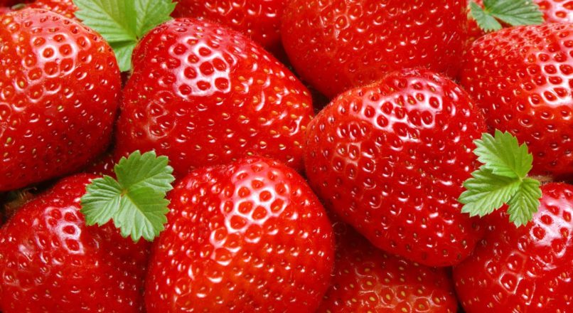 Segunda fase do programa de produção integrada de morango