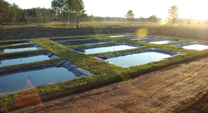 Introdução a piscicultura sustentável
