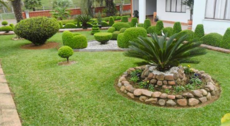 Cultivo de Flores e Plantas Ornamentais