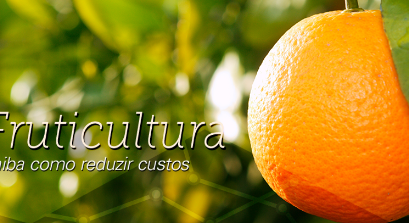 Clipping Fruticultura