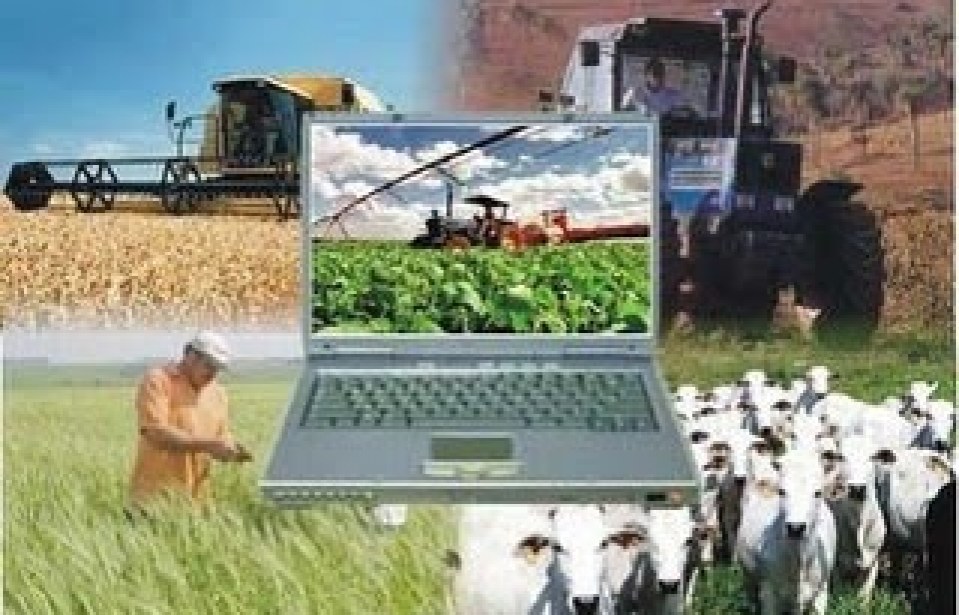 Softwares para ajudar no agronegócio