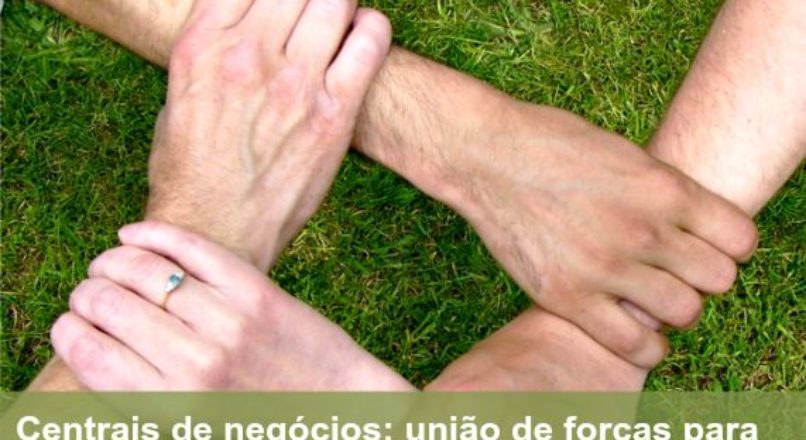Centrais de negócios: união de forças para conquistar competitividade no mercado