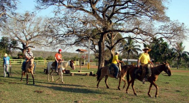 Turismo rural apresenta grande oportunidade de negócios