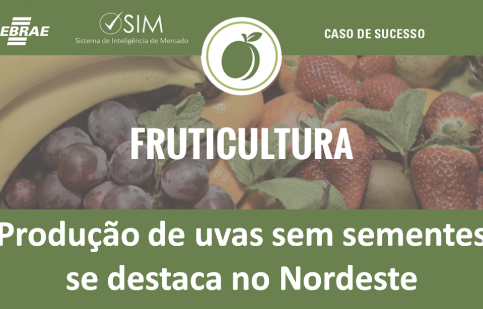 [Caso de Sucesso] Fazenda Campodoro se destaca no Nordeste com produção de uvas sem sementes e se prepara para exportar
