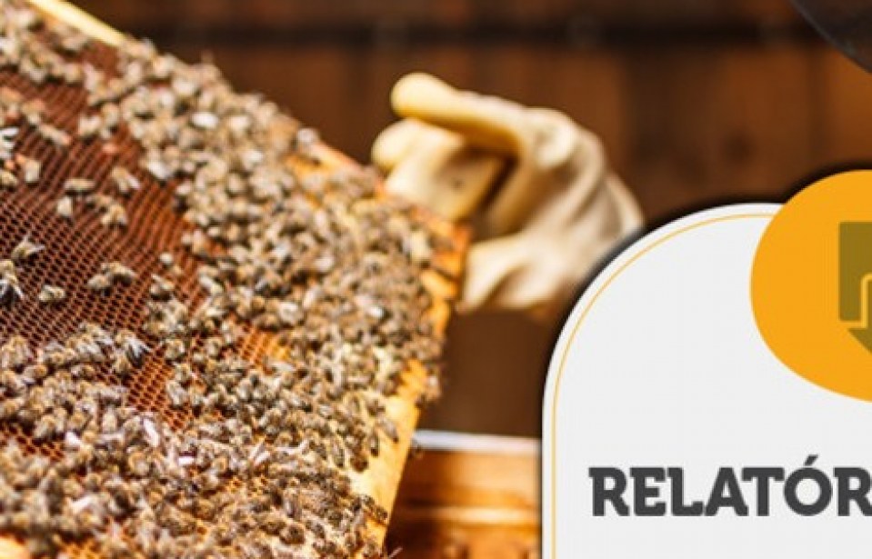 RELATÓRIO INTELIGÊNCIA – Incentivo do governo para o consumo de mel