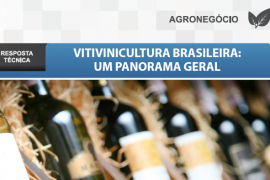 Boletim- Vitivinicultura Brasileira: um panorama geral