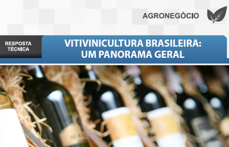 Boletim- Vitivinicultura Brasileira: um panorama geral