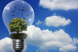 Qual a importância e benefícios das fontes de energia renovável?