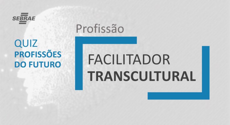Facilitador Transcultural – O que faz?