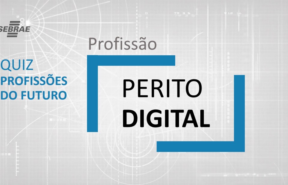 Perito Digital – O que faz?