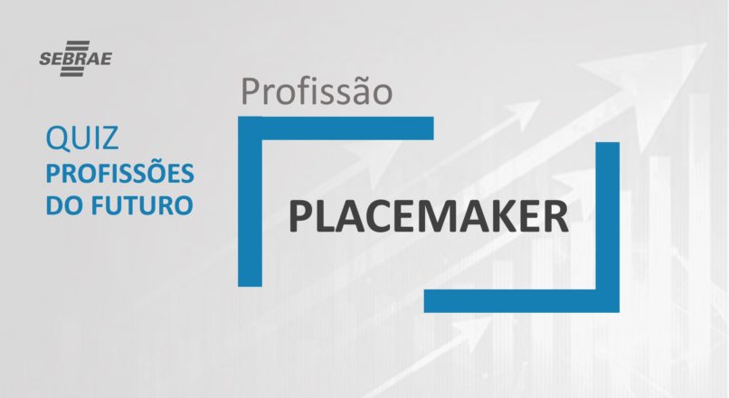 Placemaker – O que faz?