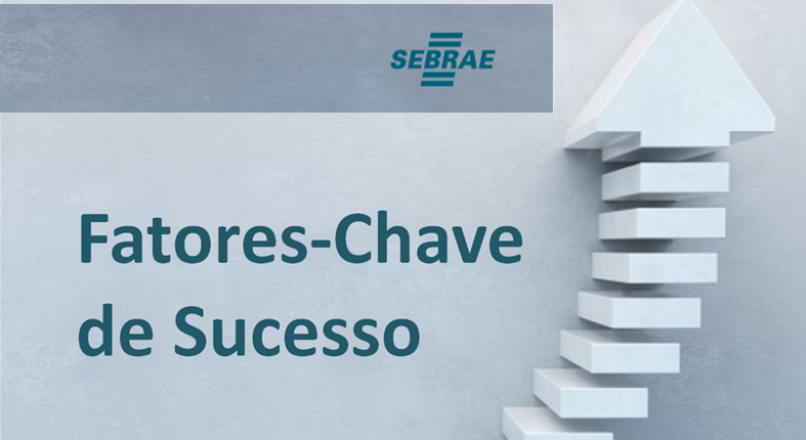 Conheça a ferramenta Fatores-Chave de Sucesso. Faça a autoavaliação de sua empresa.