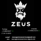 Zeus Seguranca e servicos