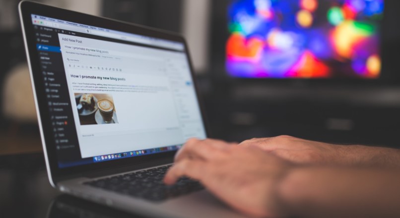 Como Fazer um Blog Dar Certo?