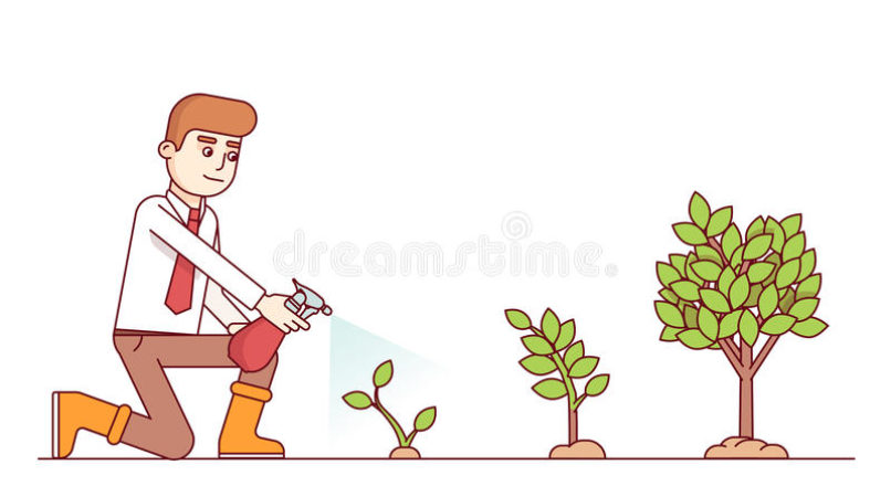 Titulos de seguridade social para realizar o empreendimento