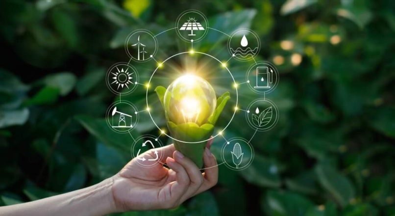 Como tornar sua empresa mais consciente socialmente?