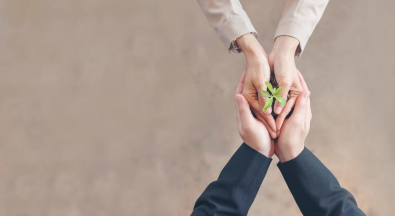 Conheça 3 empresas sustentáveis no Brasil