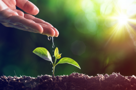 Aspectos introdutórios do direito ambiental