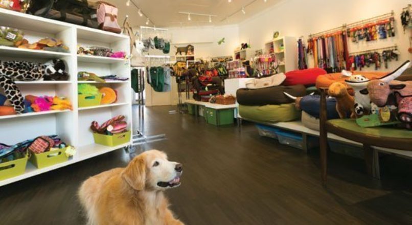 Como Montar Um Pet Shop Com Pouco Dinheiro Em 2020