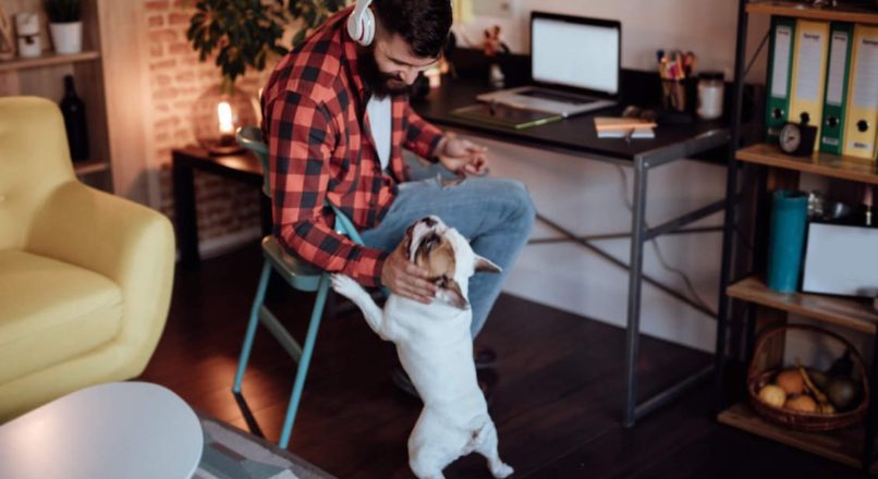 Trabalhos freelancers : Saiba tudo antes de se tornar um !