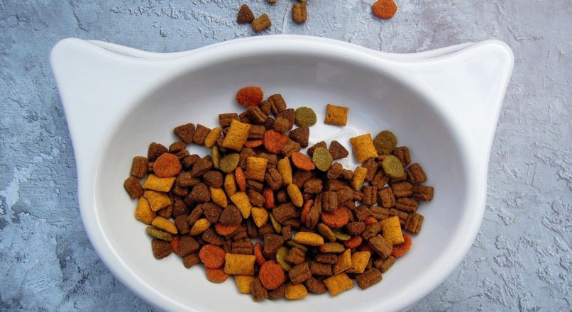 Segmento de alimentação pet cresce em 2020 e gera oportunidades para 2021