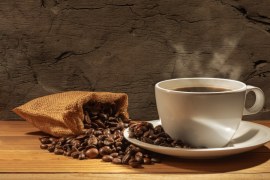 Qual é o clima ideal para a produção de café?