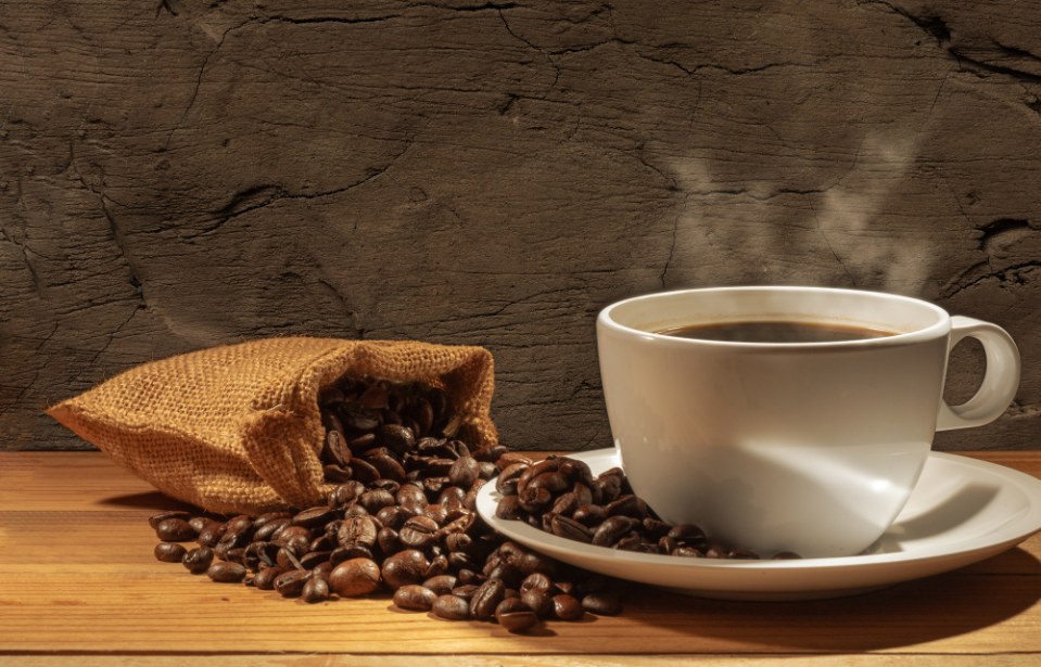 Qual é o clima ideal para a produção de café?