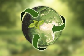 4 formas simples de aplicar a sustentabilidade no dia a dia