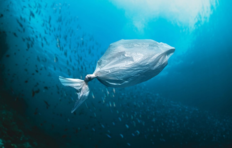 Plástico: Inimigo dos Oceanos?