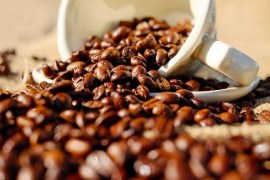 Por que a região Sul do Brasil não produz café?