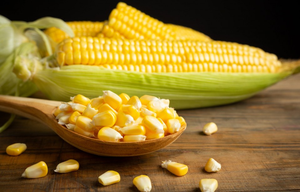 Coopacon agora conta com agroindústria de derivados de milho