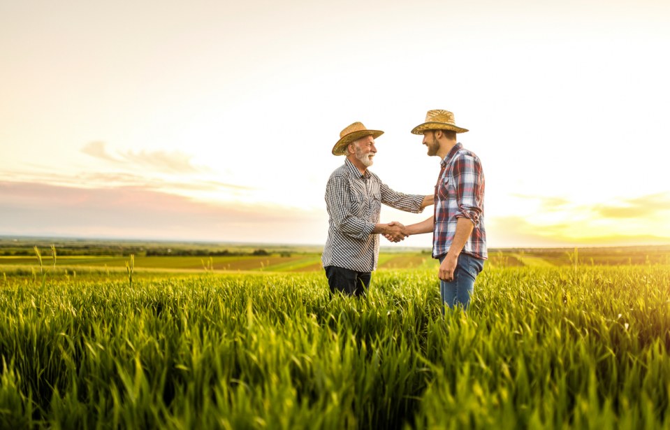 Softwares podem ajudar a otimizar o trabalho do produtor agrícola?