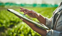 Softwares podem ajudar a otimizar o trabalho do produtor agrícola?