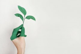 Busca por produtos sustentáveis aquece ações ESG